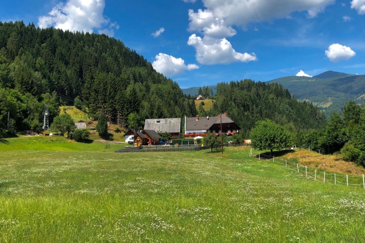 Haus Edlinger Inclusive Murau Sommer Gaeste Card *