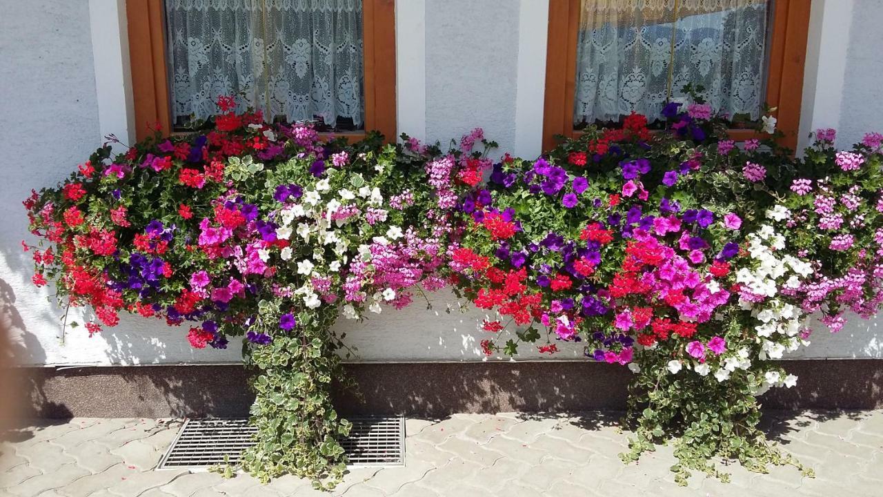 Haus Edlinger Inclusive Murau Sommer Gaeste Card Farm stay