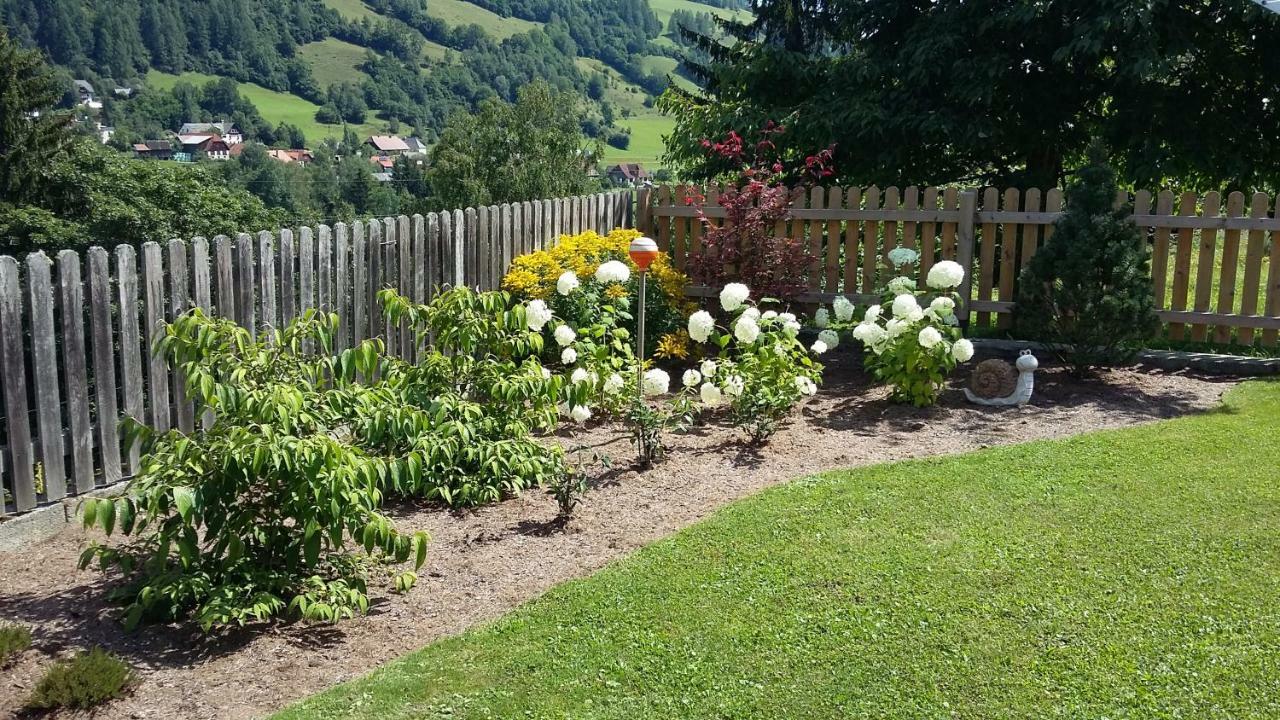 Haus Edlinger Inclusive Murau Sommer Gaeste Card Farm stay *